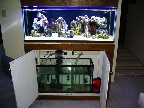 Tank_stand_canopy_sump_Medium_