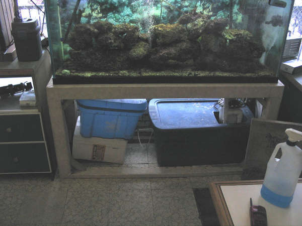 110 GALLON HAGEN AQUARIUM