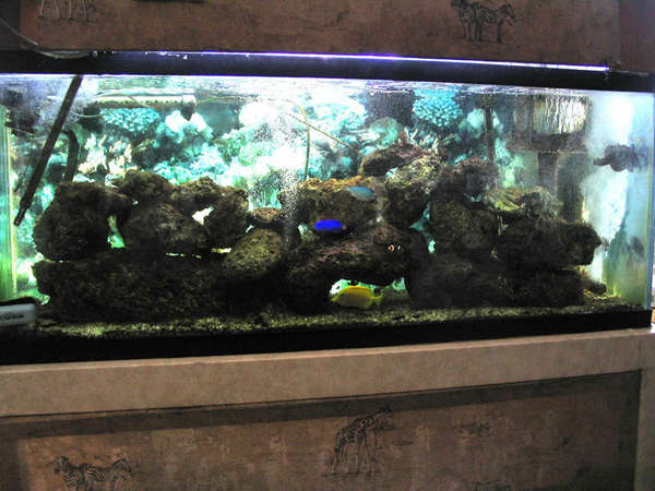 110 GALLON HAGEN AQUARIUM