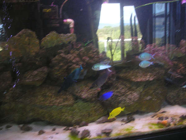 230 Gal. DRILLED TANK