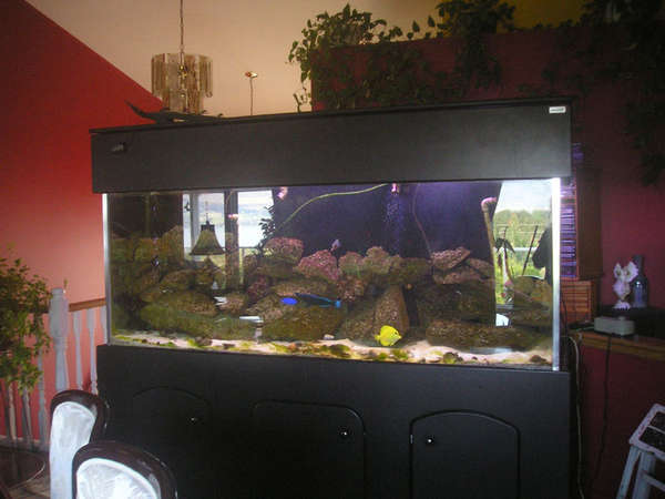 230 Gal. DRILLED TANK