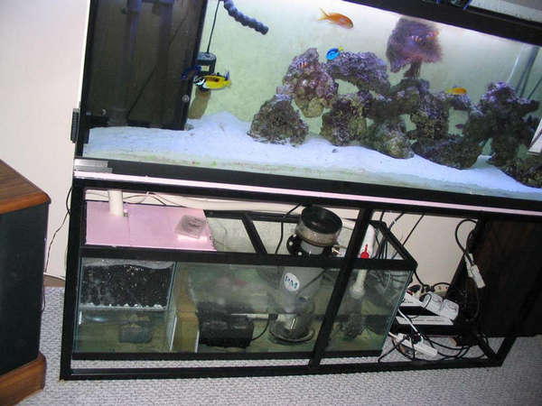 fish_tank_007