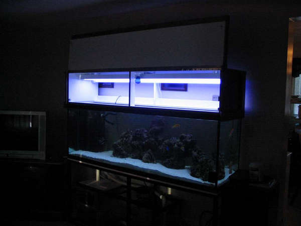 fish_tank_007