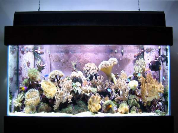 180 Reef