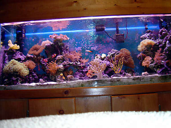 Tank_Full_View_jpg