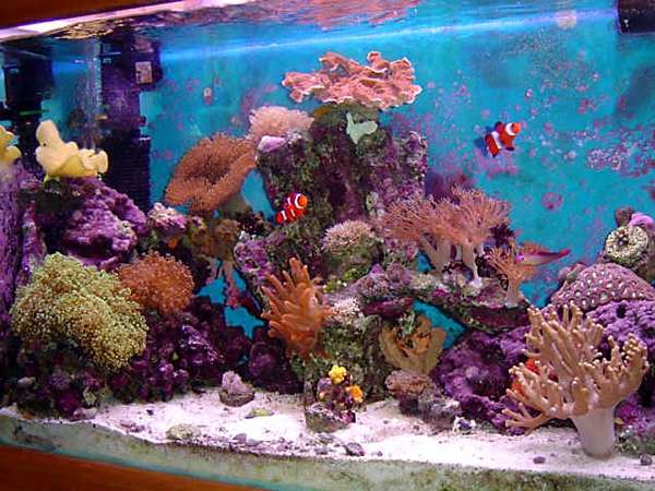 Side View of Tank
