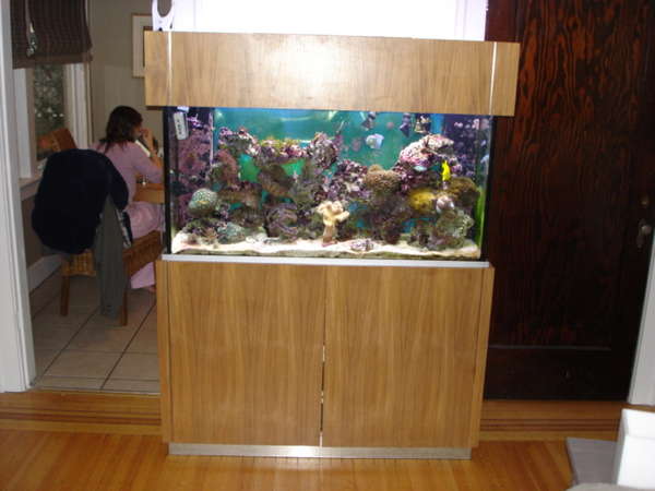 for sale stuff