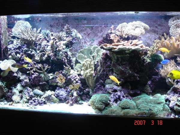 My 180G