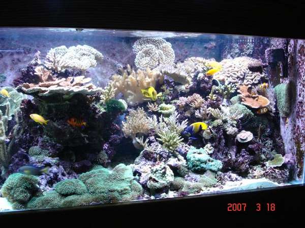 My 180G