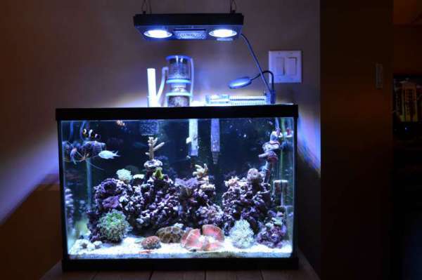 FTS_November_18