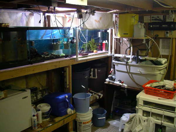 &quot;The Lab&quot;