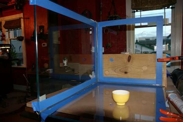 DIY Tank