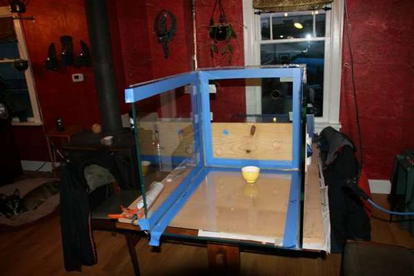 DIY Tank