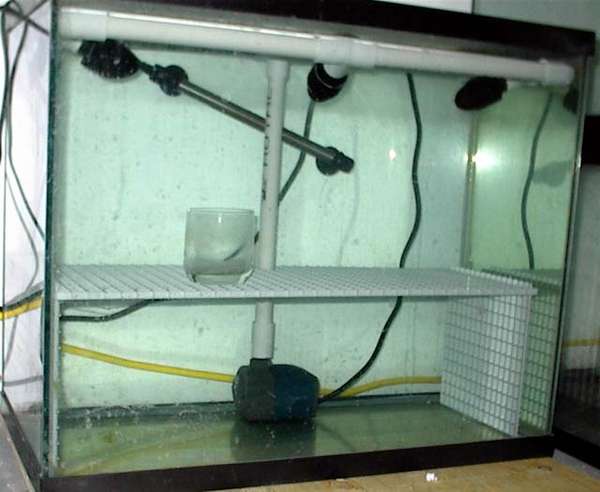 frag tank