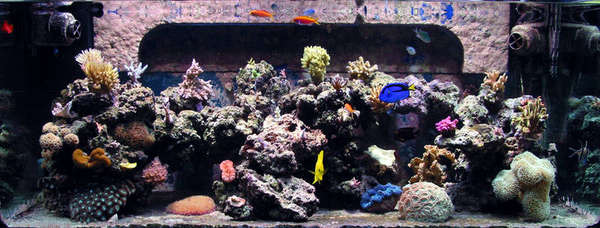 FullTankShot_June2006