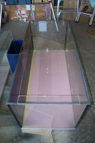 IMG_1771_533x800_
