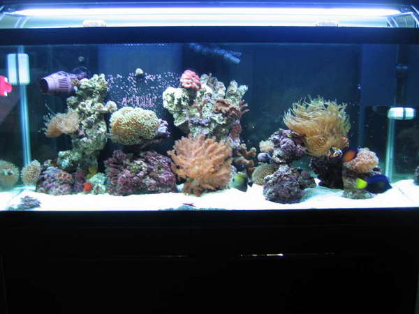 Dec 2008 2