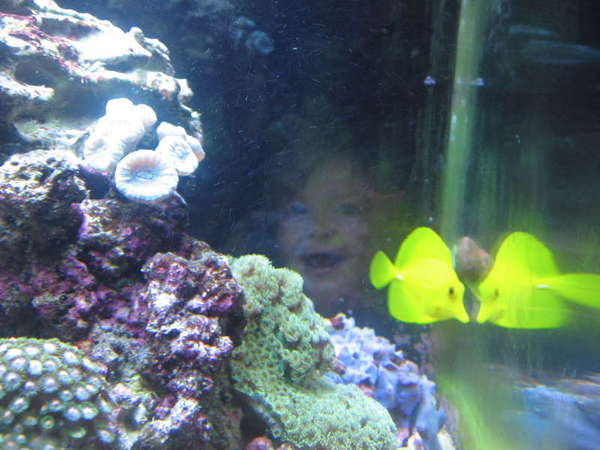 My little girl and Mr.Yellow