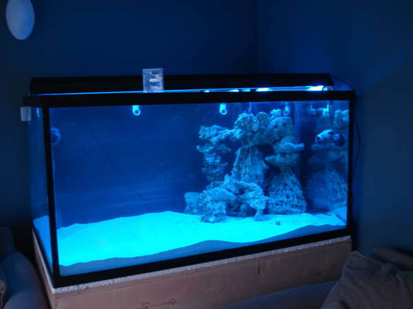 New_tank_003