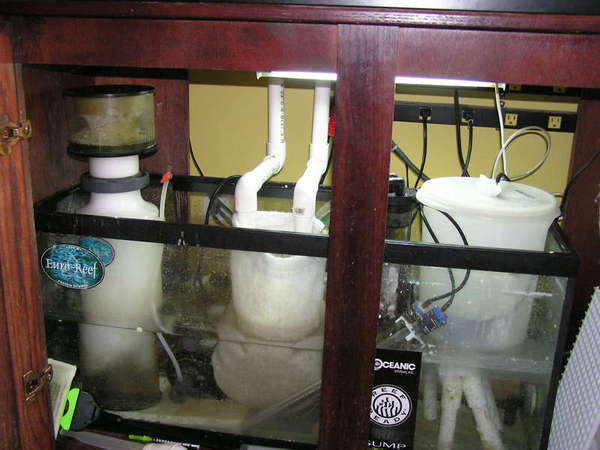 My sump