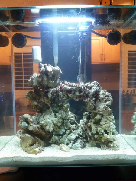 12g Fluval Edge