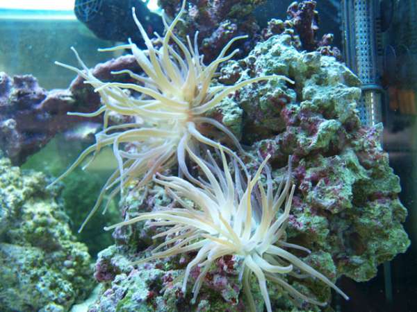P5051202_resize_