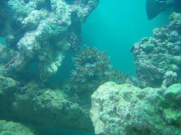 PC072734