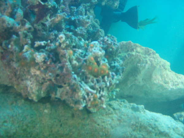 PC072735