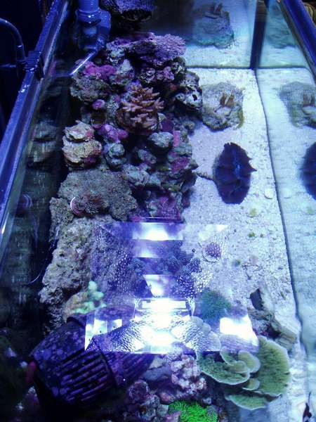 Picture_009