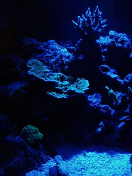 Picture_015