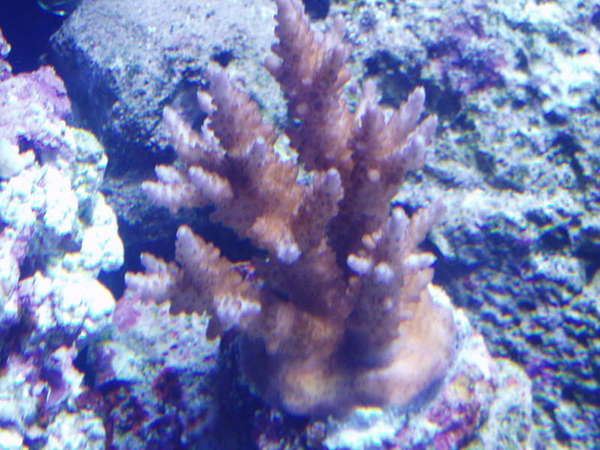 Picture_019