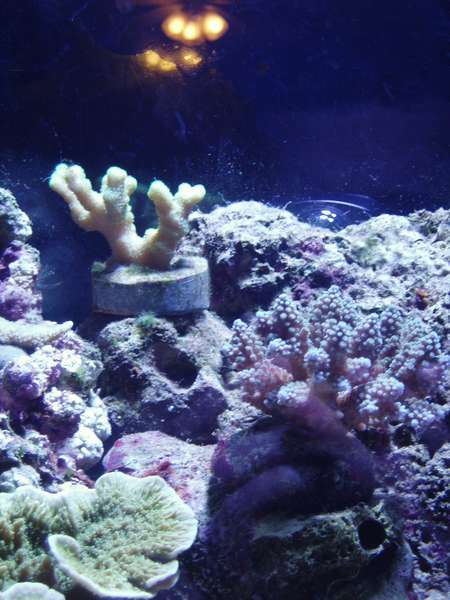 Picture_020