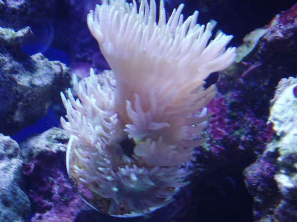 zoo i think