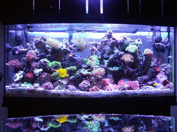 with my new light