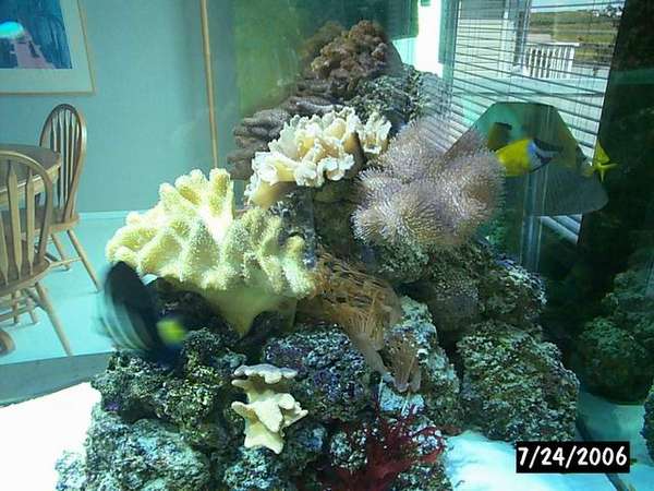 Resize_of_P0010164