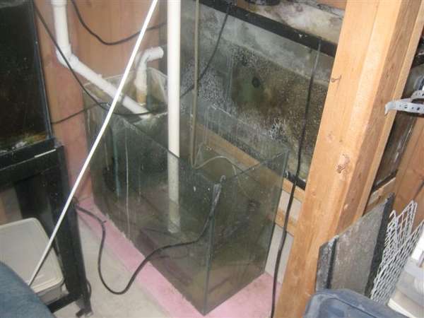 fish_tank_003
