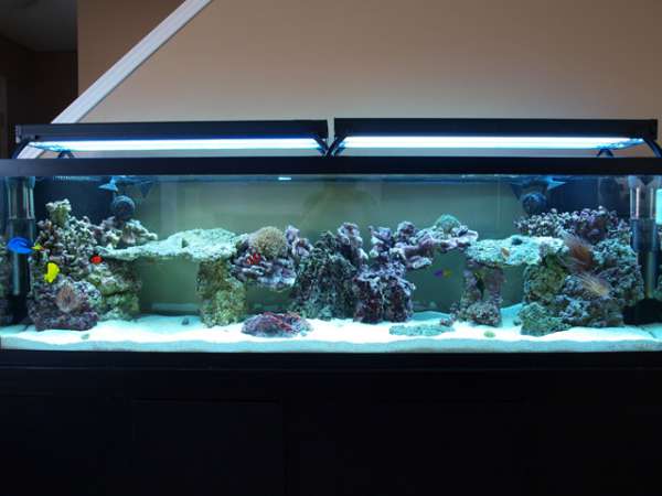 full_tank_resize