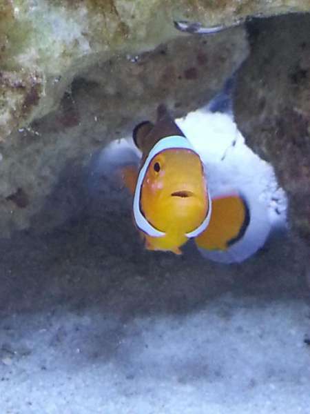 imagejpeg_2dd