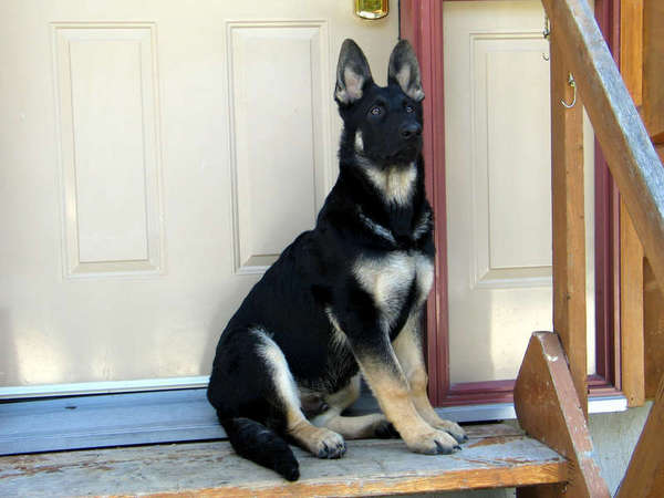 kaiser-18weeks