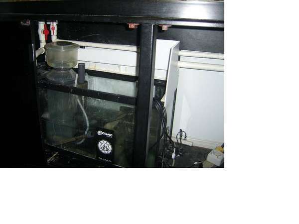 sump