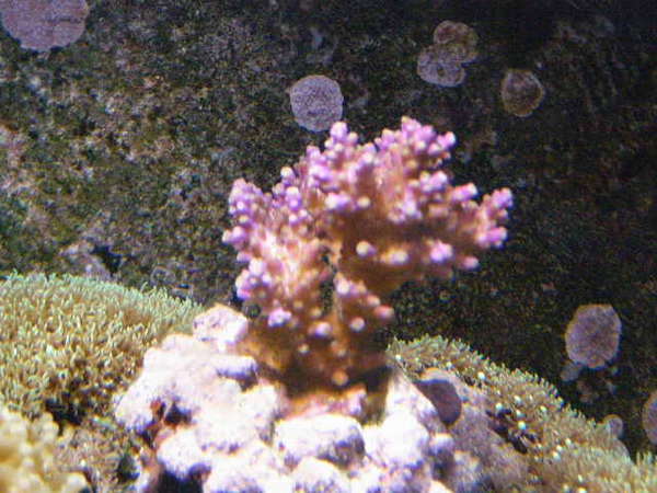 march9pics_011