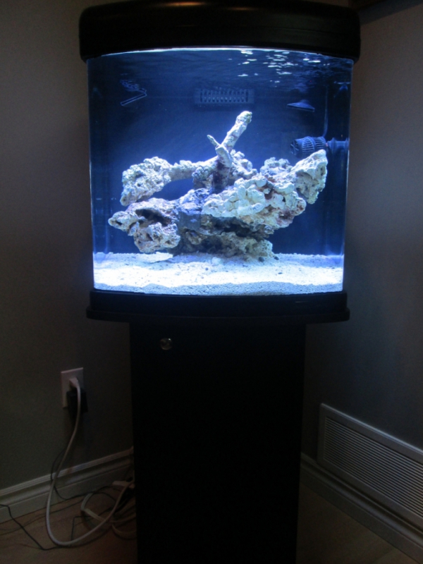 JBJ 28 Gallon Tank