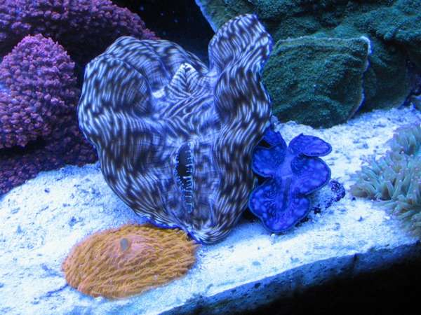 mini-IMG_2960