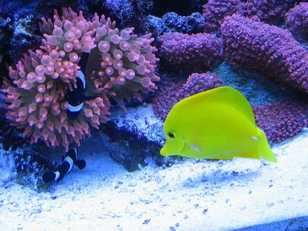 mini-IMG_2968