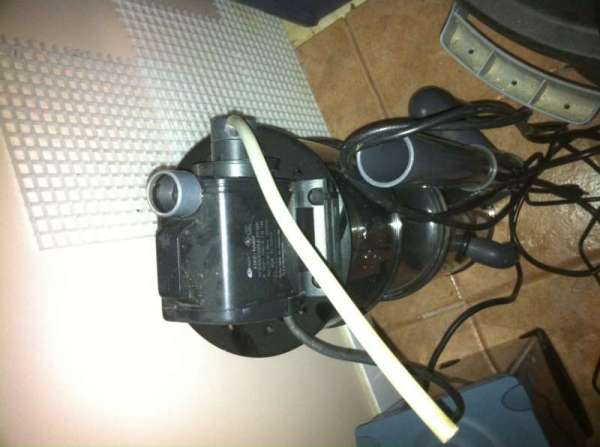 photo_4_