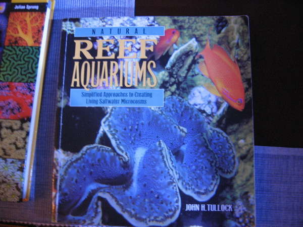reef_aquariums