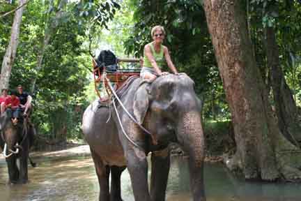 my_elephant