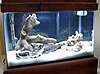 10_gal_Oct_15-08.jpg 10_gal_Oct_15-08.jpg