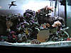 112tank_closeUP.JPG