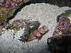 1187peek2of3.jpg